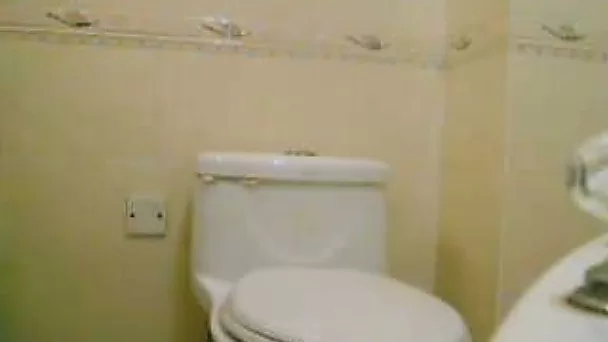 Torrid amateur black haired chick masturbates with a dildo on toilet bowl