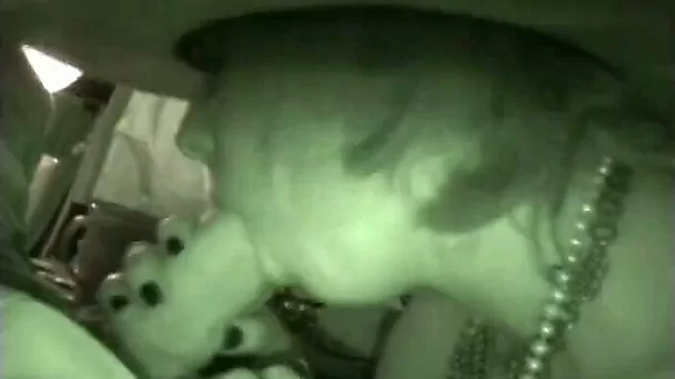 Hussy blonde gives nice blowjob at the party