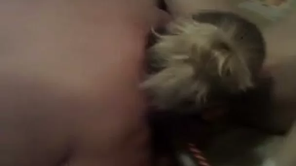 Chubby whore fucks one dude and blows his dick