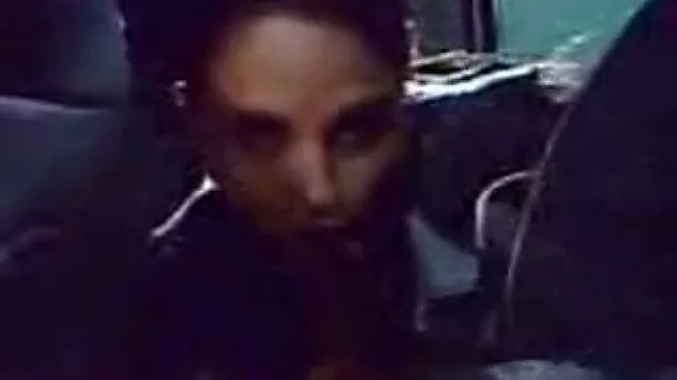 There's nothing like having a naughty chick suck your cock in your car