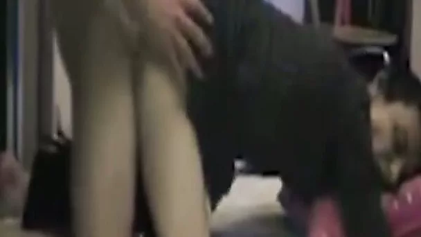This slut is submissive and extremely wild and she loves a good doggy style sex
