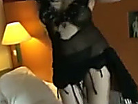 Sexy Arabic dance by my curvy wife from Egypt in sex see through dress