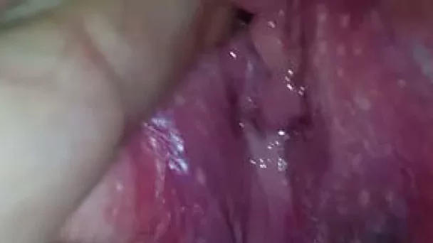 Hairy wet pussy and smooth asshole of my BBW girlfriend