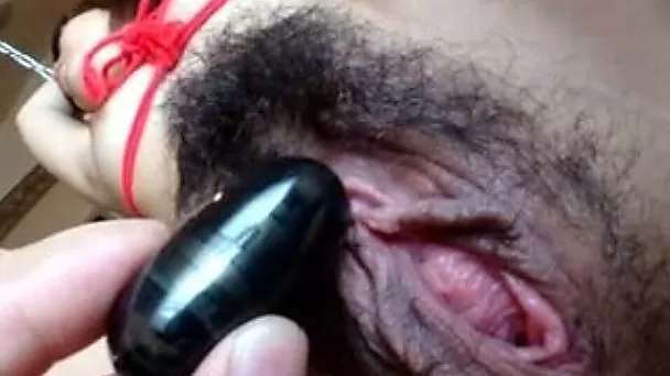Diddling hairy Asian pussy of my girlfriend with egg vibrator