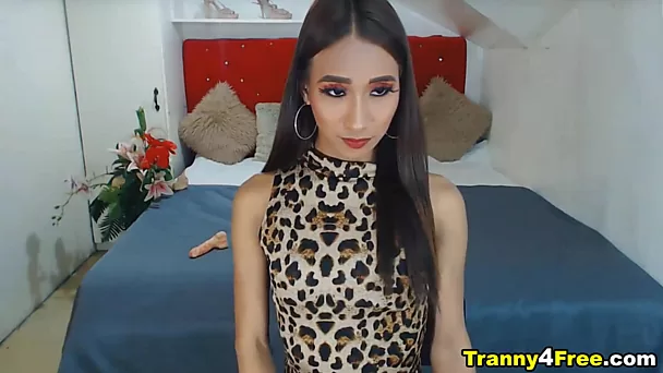 Skinny Asian Shemale Awesome Camshow