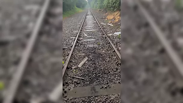 Мы с моим сводным братом сбежали с нашей семейной прогулки.