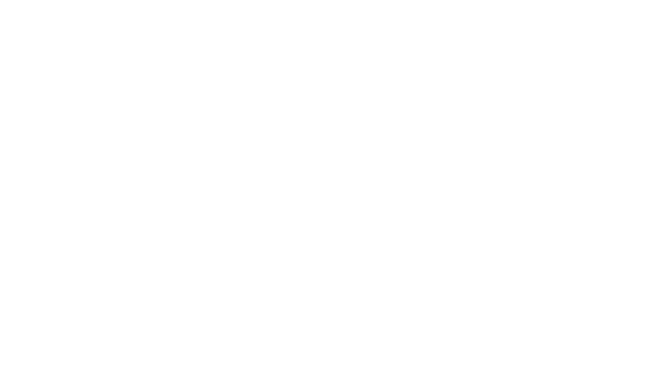 asiatische Flugbegleiterin