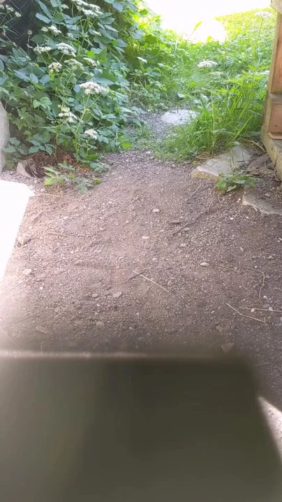 Sommer, draußen pinkeln