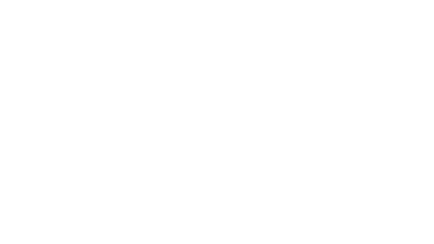 Escort