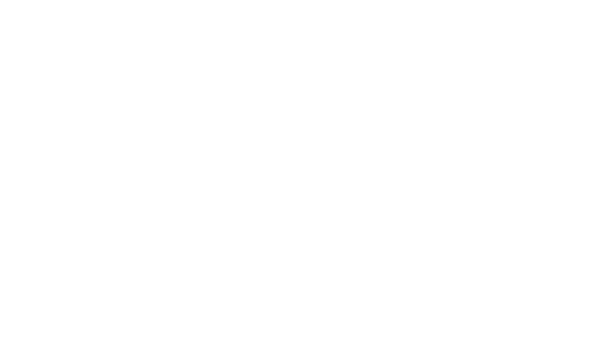 Оба ждут вашего внимания сегодня вечером…