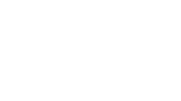 Autoabgabe