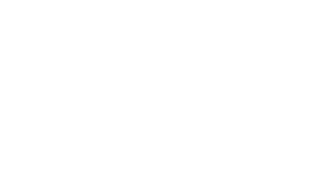 Damen von Elden Ring