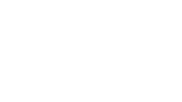 Я более чем готова проделать в тебе несколько дырок сегодня вечером