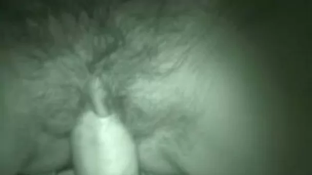 Hairy pussy of my German chubby wife getting pounded