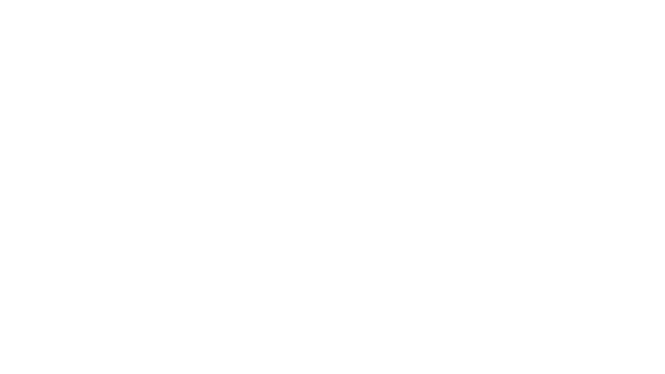 Находиться всю ночь зажатой между этими двумя мужчинами было для меня воплощением мечты.