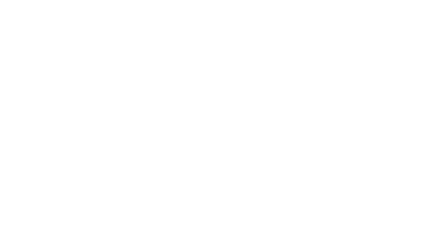 Mein 6 Monate alter Busch :)