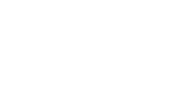 Несравненное совершенство