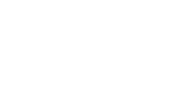 идеальный вид