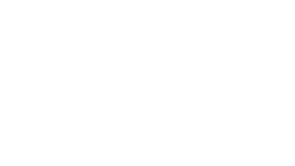 Это лучшие виды.