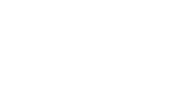 Wir sind die Stimmungskanonen auf Partys.