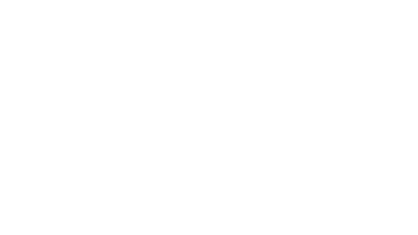 Стремление к совершенству.