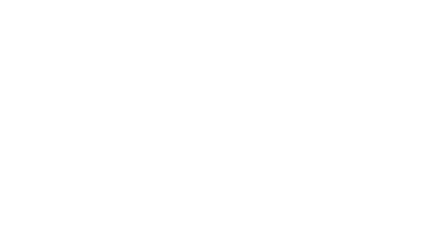 They have their own sex doll!