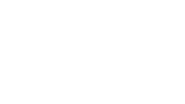 Möchten Sie es jetzt vor sich haben?