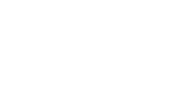 Идеальная шлюха