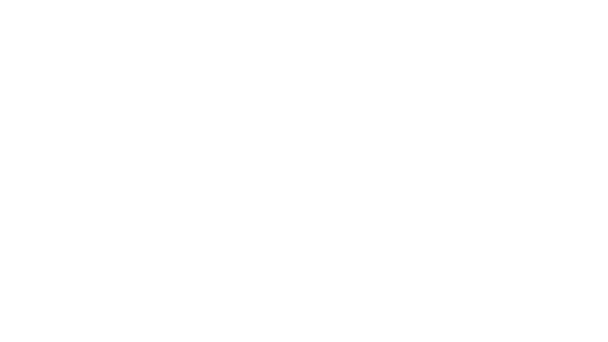 Amazing melons reveal